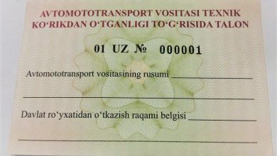 ГСБДД начала выдавать новые талоны о прохождении техосмотра Талон технического осмотра