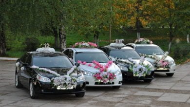 Несколько десятков свадебных кортежей оштрафовано в Ташкенте с начала года (видео) - 1 свадебный кортеж Узбекистан - Ташкент