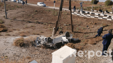 Столкновение с поедом в Каракалпакстане Нукус Кунград