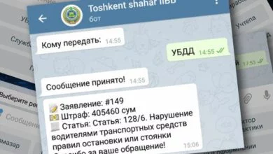 Обращение в Телеграм-бот ГАИ Узбекистана