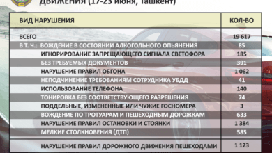 Статистика по нарушениям правил дорожного движения в Ташкенте