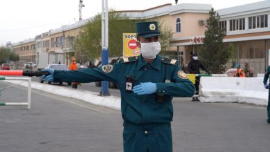 Кто может ездить без стикера во время карантина в Ташкенте Кто может ездить без стикера во время карантина в Ташкенте