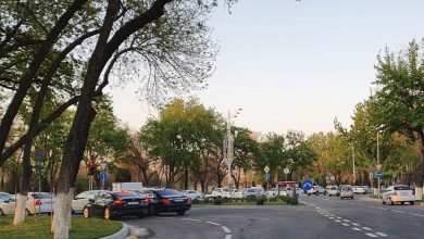 Должники по алиментам не смогут водить автомобиль и таксовать