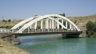 Горбатый мост в Газалкенте