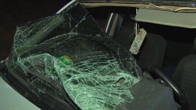 22-летнюю девушку сбили насмерть 19-ти летний водитель на Нексии насмерть сбил молодую женщину, которая переходила дорогу в неположенном месте