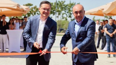 Теперь купить права в Ташобласти нельзя Теперь купить права в Ташобласти нельзя