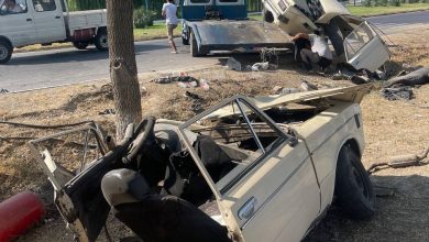 Жигули разорвало пополам от удара о дерево Жигули разорвало пополам в ДТП в Ташкенте