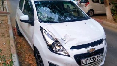 Spark насмерть сбил сотрудницу благоустройства Женщина на Spark сбила сотрудницу управления благоустройства в Ташкенте