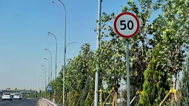 Максимальную скорость в Ташкенте снизили до 50 км/ч.