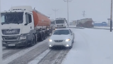 В горах выпал снег В горах на перевале Камчик выпал снег