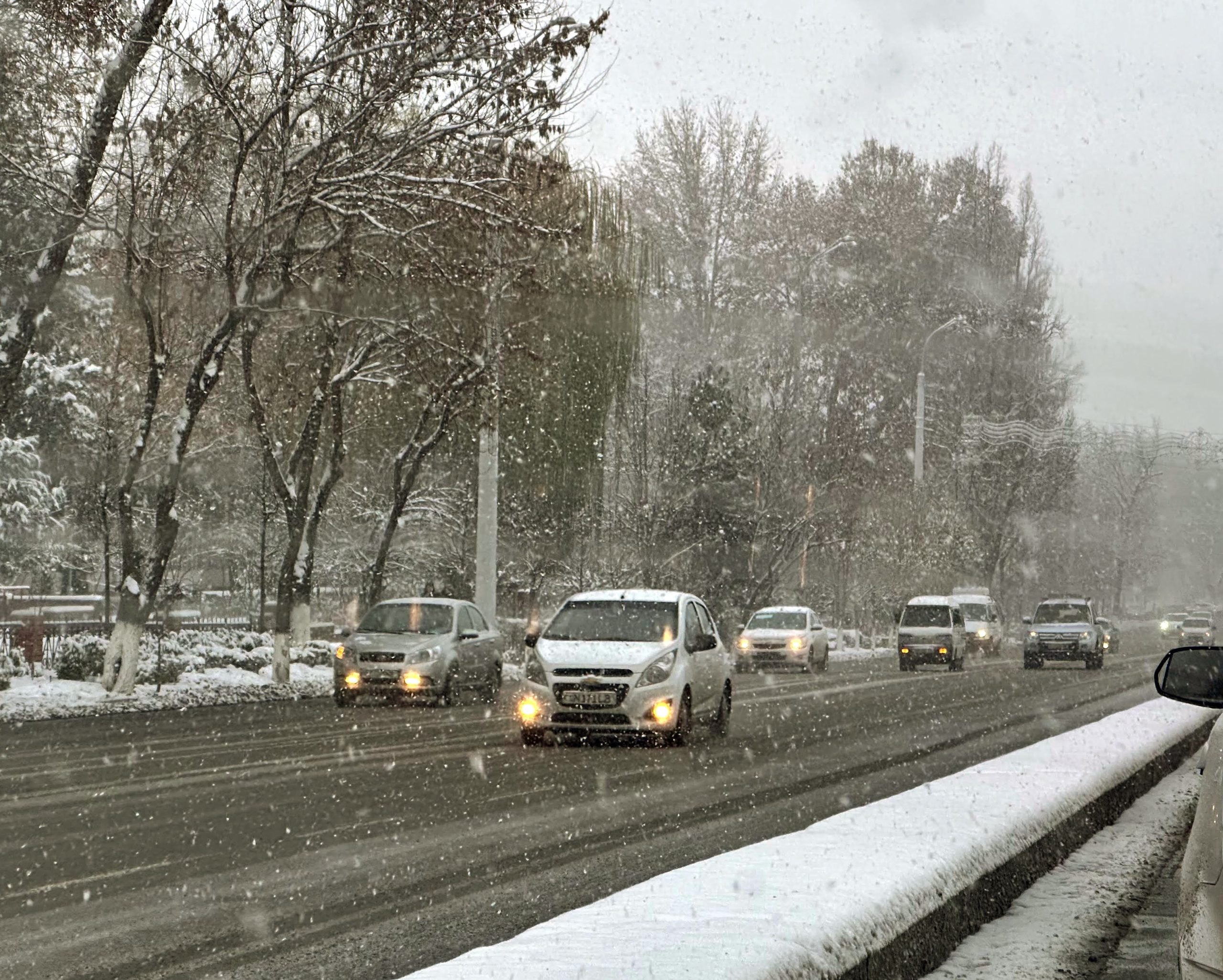 Зимняя дорога в Ташкенте