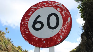 Скорость до 60 км/ч снизят по всему Узбекистану Скорость до 60 км/ч снизят по всему Узбекистану