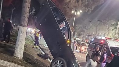 В результате ночых гонок Malibu повисла на дереве