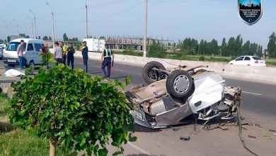 Nexia 2 разорвало о столб освещения. Водитель погиб на месте.