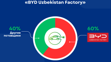 BYD занял 60% рынка электромобилей
