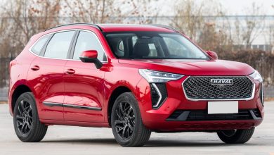 Хавейл Джолион появится в Узбекистане