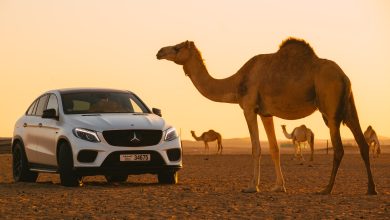 Renty - аренда машин для фотосессии в Дубае Renty - аренда машин для фотосессии в Дубае