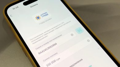 Удобство оплаты штрафов и автокредита онлайн через Payme Оплата штрафов ГАИ в Payme