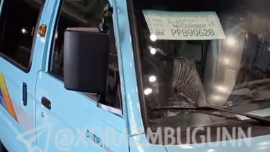 Новый цвет Damas взорвал интернет