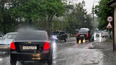 Ташкент готовится к визиту Путина Ташкент готовится к визиту Путина