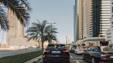 Открытие каршеринговой компании в ОАЭ Открытие каршеринговой компании в ОАЭ