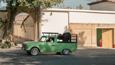 Самарканд не для всех: город закроют из-за саммита Евросоюза Самарканд не для всех: город закроют из-за саммита Евросоюза