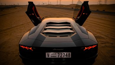 Из пустыни в мегаполис: какие авто лучше всего подходят для дорог ОАЭ? Из пустыни в мегаполис: какие авто лучше всего подходят для дорог ОАЭ?