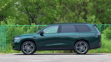 Правительство готовит новые ограничения на импорт электромобилей Правительство готовит новые ограничения на импорт электромобилей