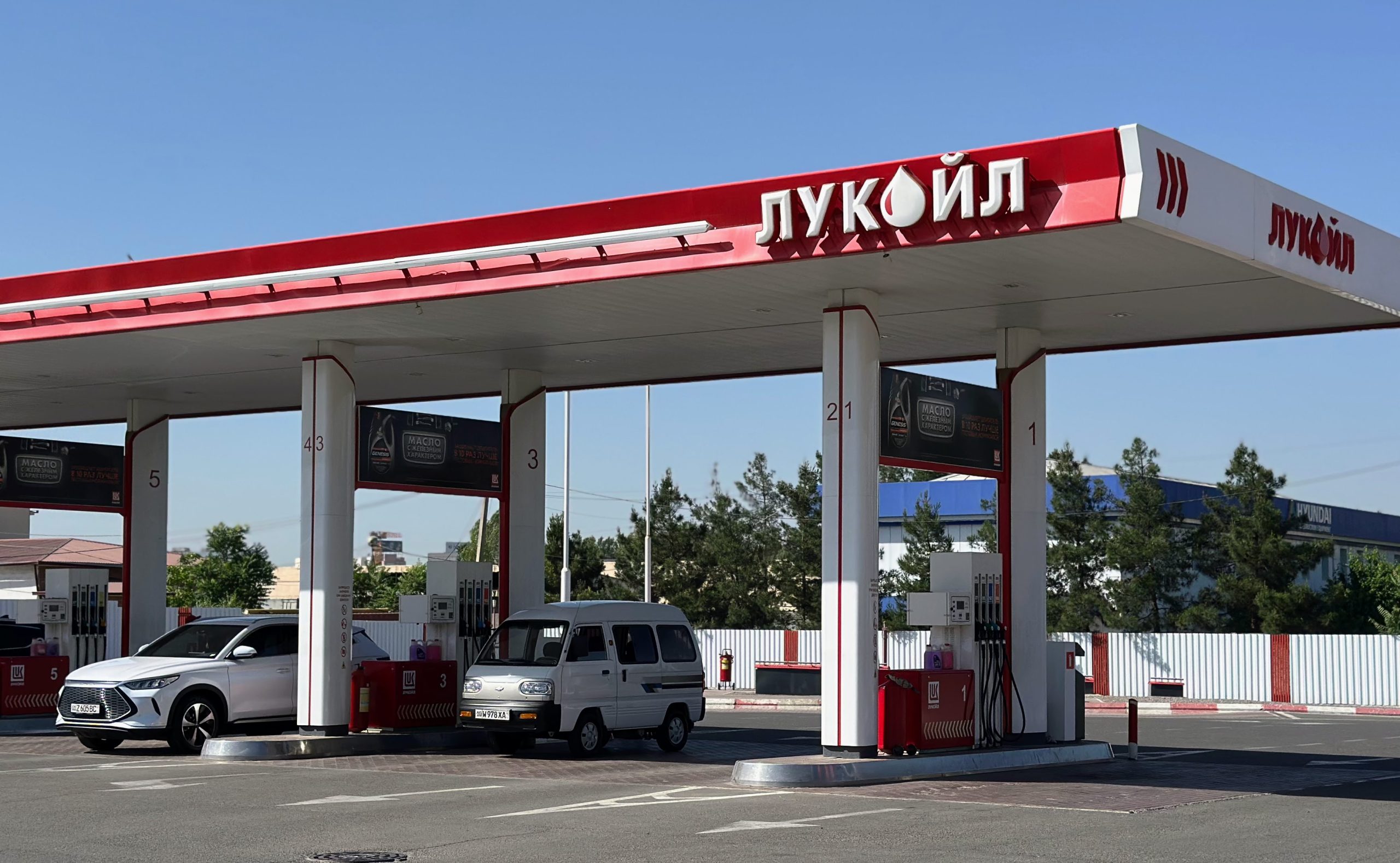 Экспорт бензина из России запрещен АЗС Лукойл в Ташкенте