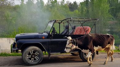 В Узбекистане предложили запретить автомобили старше 40-50 лет