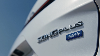 BYD Song Plus Chempion - UzPride