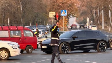 Выдача обычных номеров в ГАИ временно приостановлена
