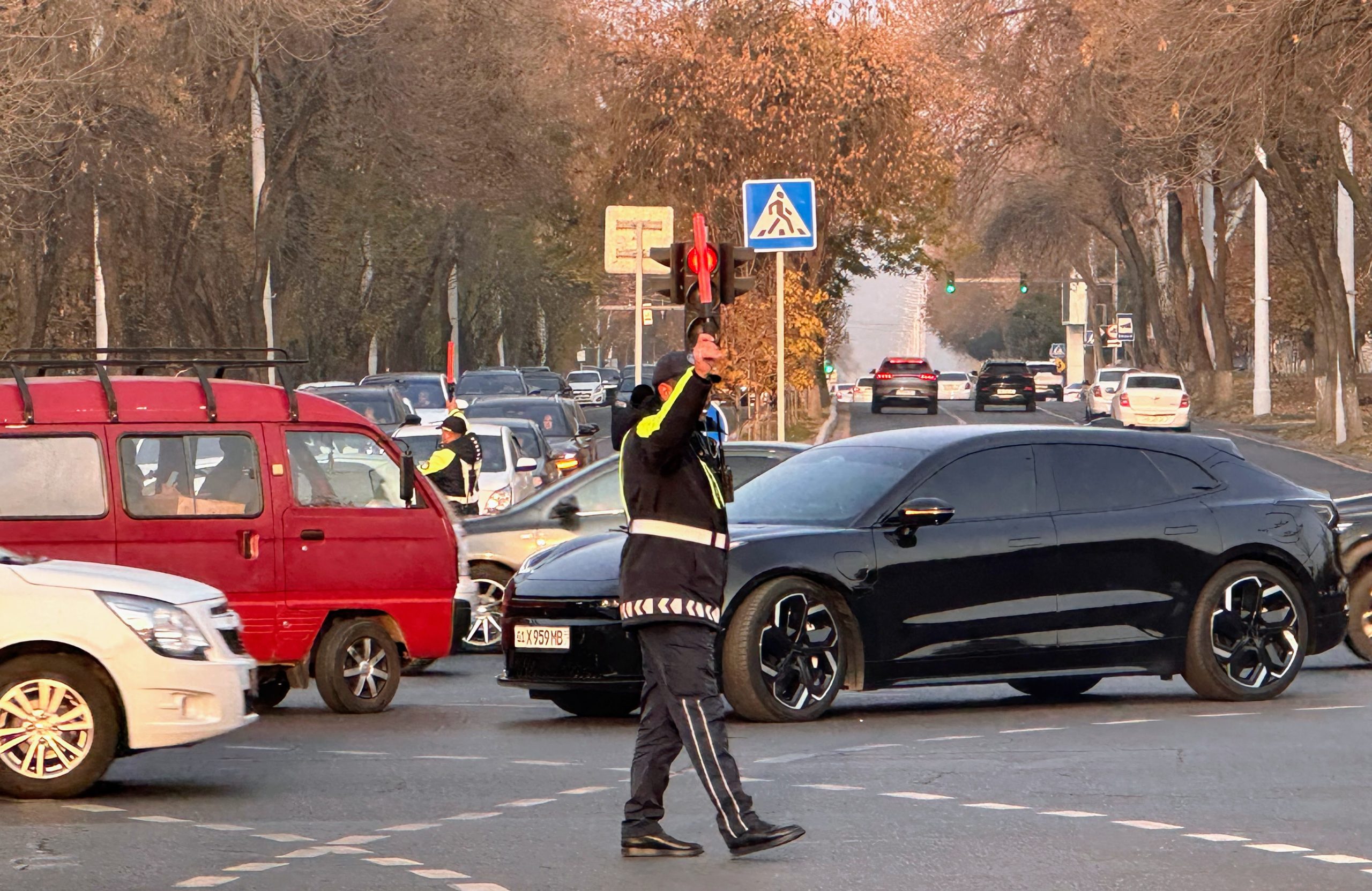 Выдача обычных номеров в ГАИ временно приостановлена Выдача обычных номеров в ГАИ временно приостановлена