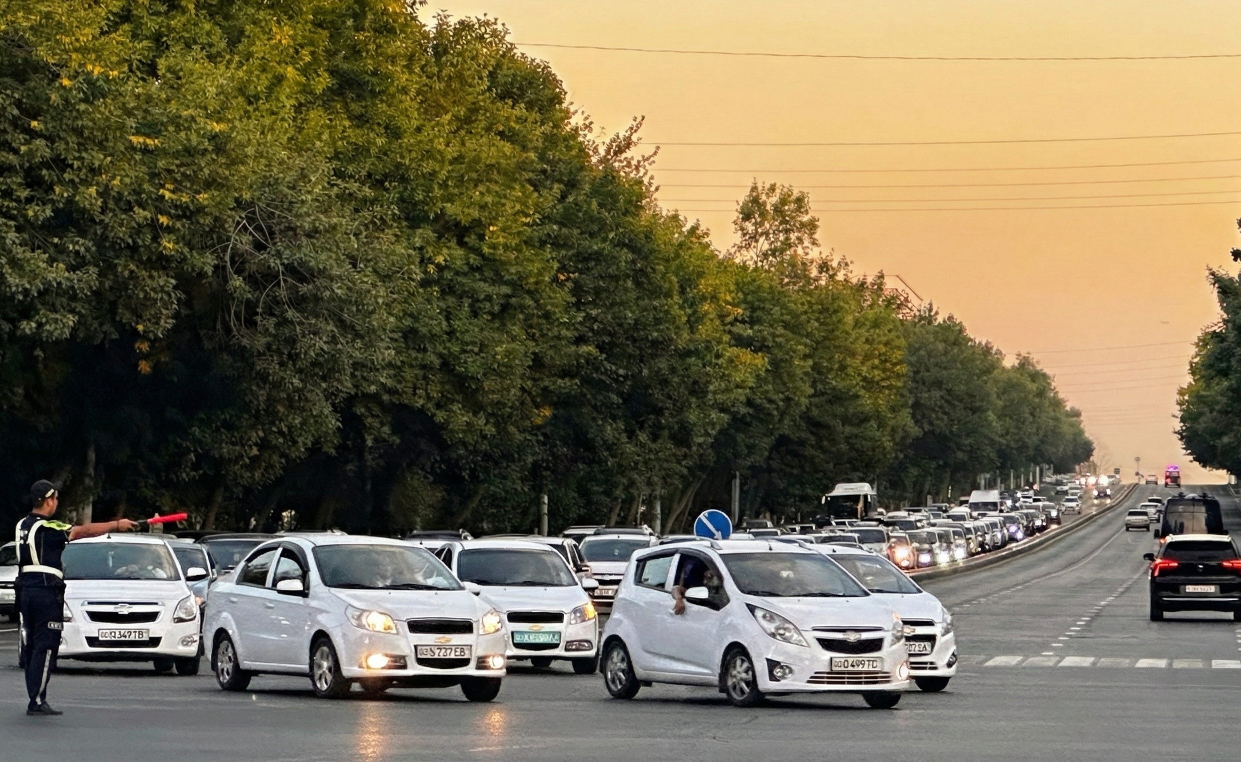 Кэшбек за ОСАГО: как заработать на страховке - 1 Дорога в Ташкенте