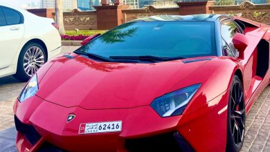 Цифровая трансформация авторынка Ближнего Востока: новые горизонты для покупателей - 24 Цифровая трансформация авторынка Ближнего Востока: новые горизонты для покупателей - 8