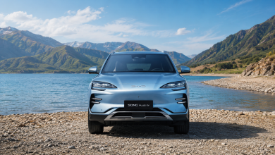 BYD Song Plus Champion EV на берегу Чарвака. Больше он туда не приедет - продажи остановлены