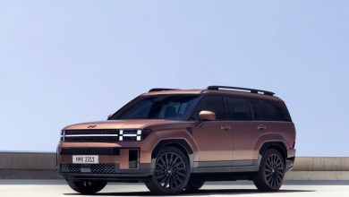 Hyundai Santa Fe в Узбекистане: цены, комплектации и характеристики - 9 Hyundai Santa Fe пятого поколения медного цвета на фоне неба