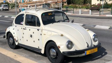 Покупка автомобиля в разных странах: что важно знать до сделки - 13