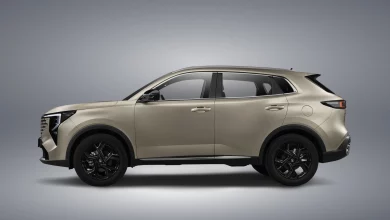Бронзовый Changan CS55 Plus FL сбоку
