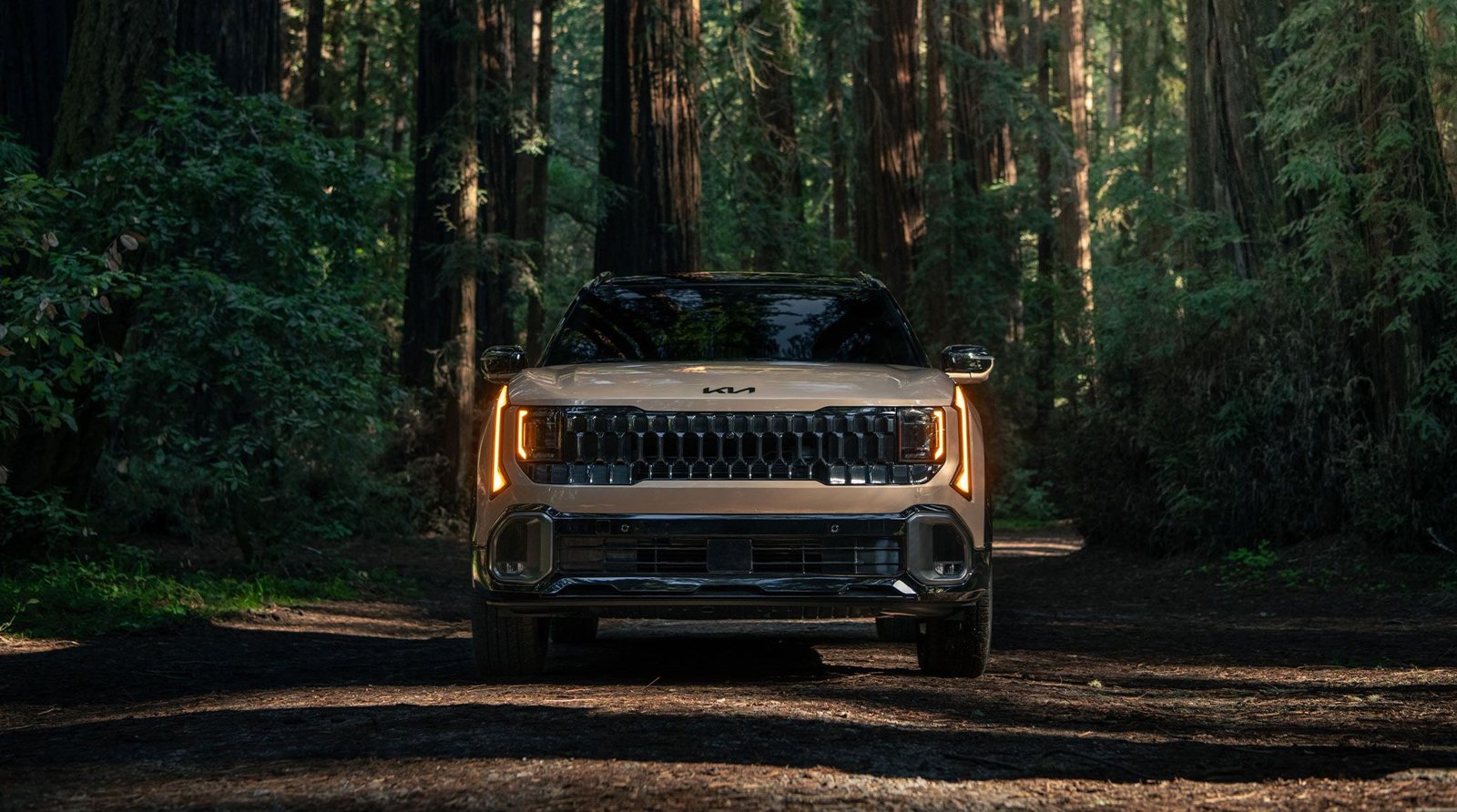 Новый Kia Seltos в Узбекистане - 3 Новый Kia Seltos спереди: огни Star Map