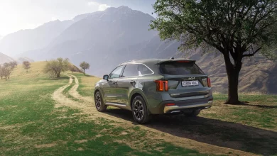Темно-зеленый Kia Sorento сзади сбоку на грунтовой дороге в горах рядом с деревом